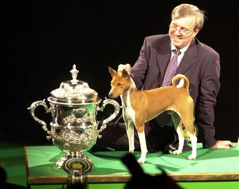 The Stable Mite, a Pomeranian. . Crufts winners history